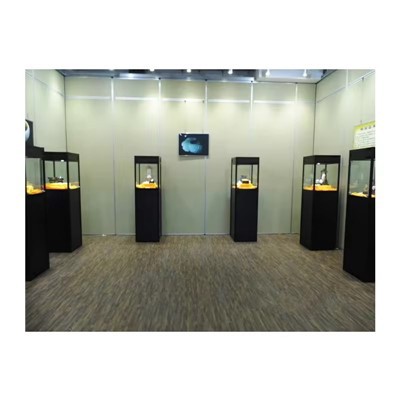 Museumsutstillingsvedlegg